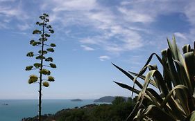 Agave Di Lerici