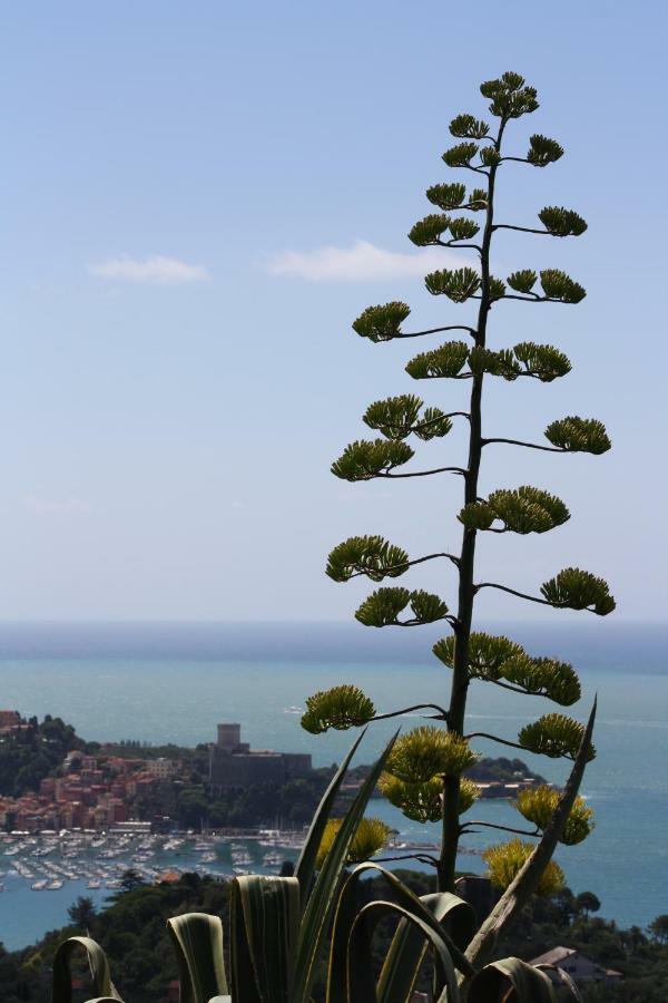 Villa Agave Di Lerici Exterior foto