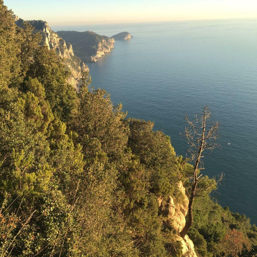 Villa Agave Di Lerici Exterior foto